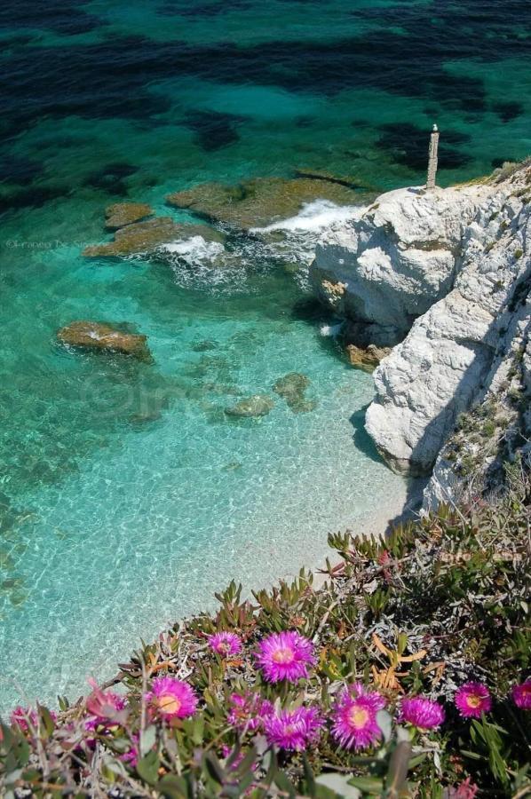Apartament Mare Fuori Portoferraio Zewnętrze zdjęcie